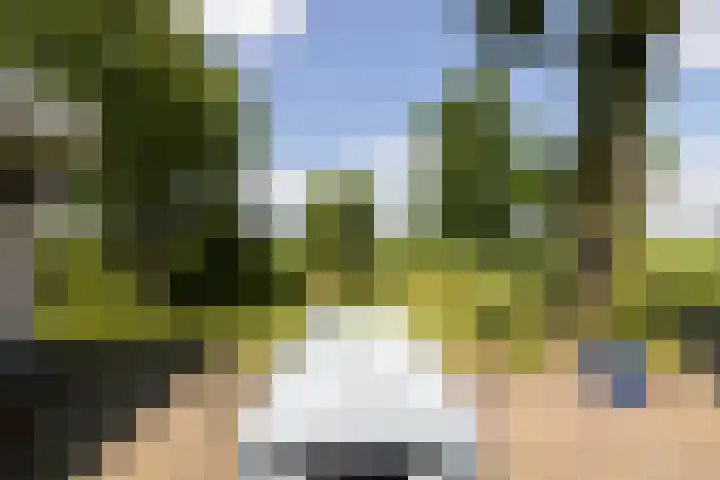 Kanaaldijk 104 Landsmeer thumbnail 54
