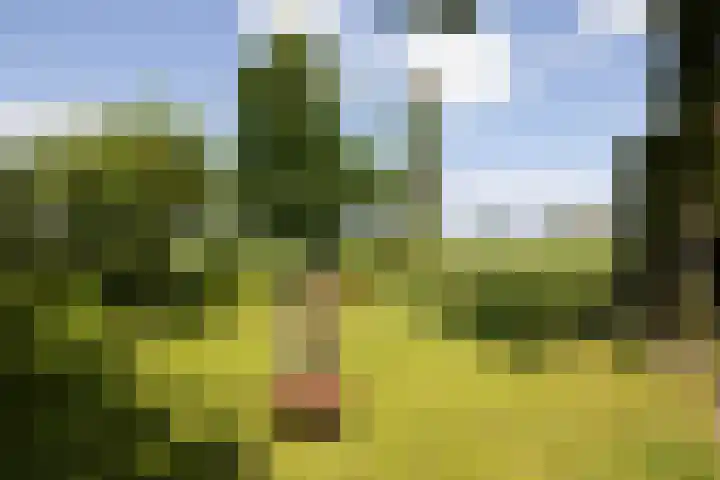 Kanaaldijk 104 Landsmeer thumbnail 56