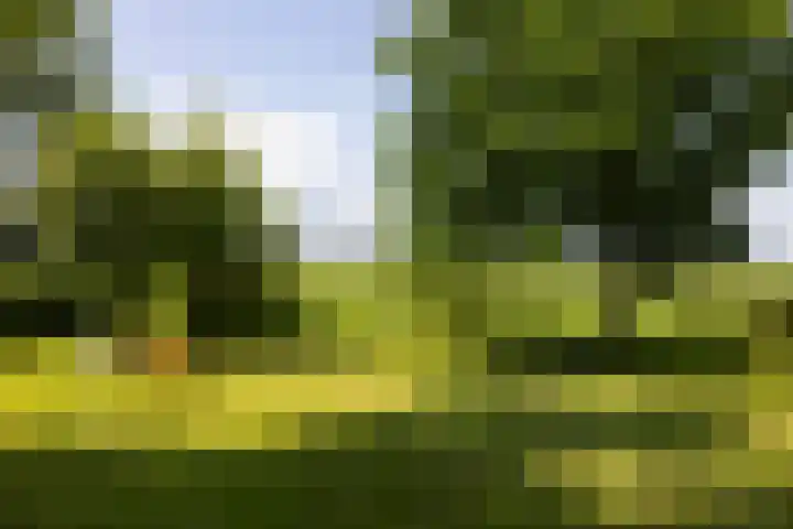 Kanaaldijk 104 Landsmeer thumbnail 57