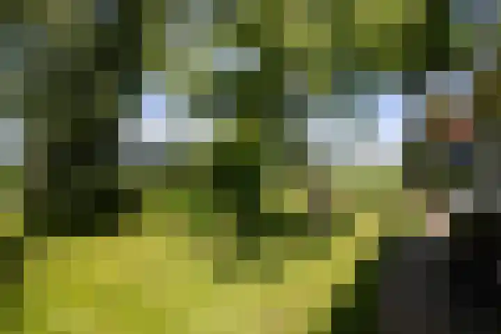 Kanaaldijk 104 Landsmeer thumbnail 58