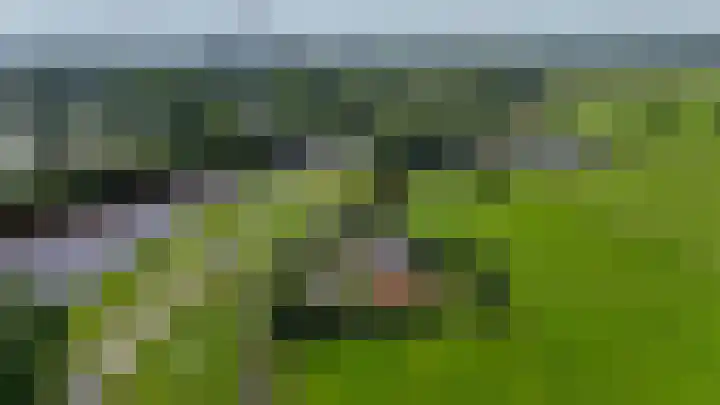 Kanaaldijk 104 Landsmeer thumbnail 59