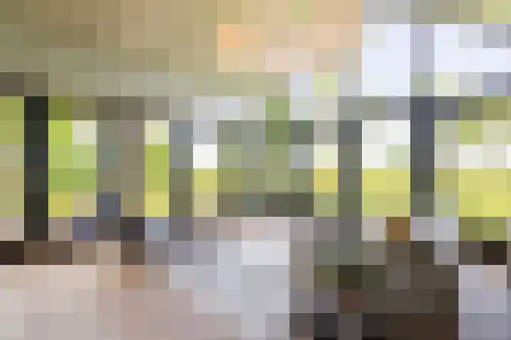 Kanaaldijk 104 Landsmeer thumbnail 6