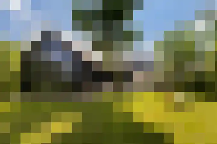Kanaaldijk 104 Landsmeer thumbnail 66