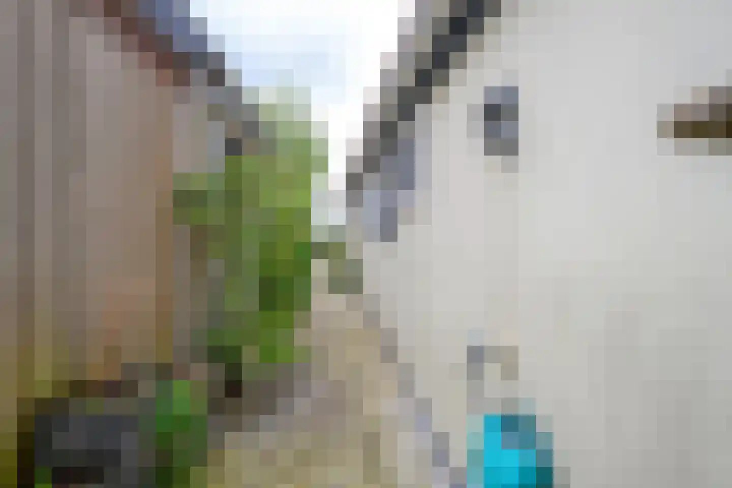 Kanaaldijk 116 Koedijk thumbnail 33