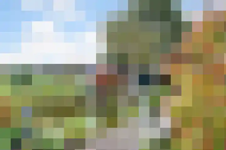 Kanaaldijk 14 Leerbroek thumbnail 32