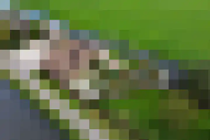 Kanaaldijk 14 Leerbroek thumbnail 33