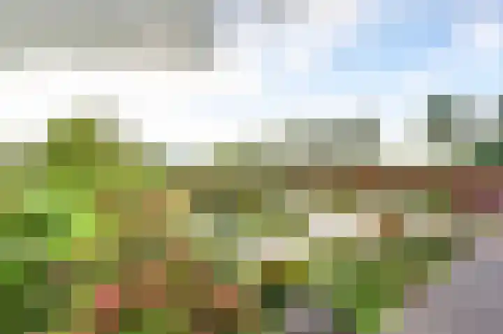 Kanaaldijk 14 Leerbroek thumbnail 37