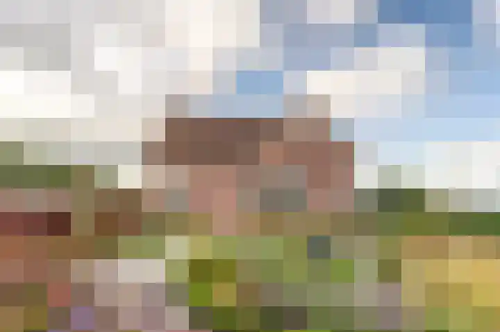 Kanaaldijk 14 Leerbroek thumbnail 38