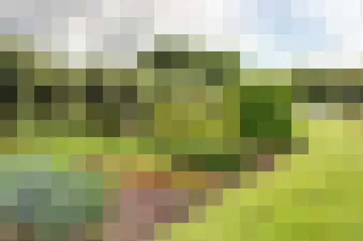 Kanaaldijk 14 Leerbroek thumbnail 42