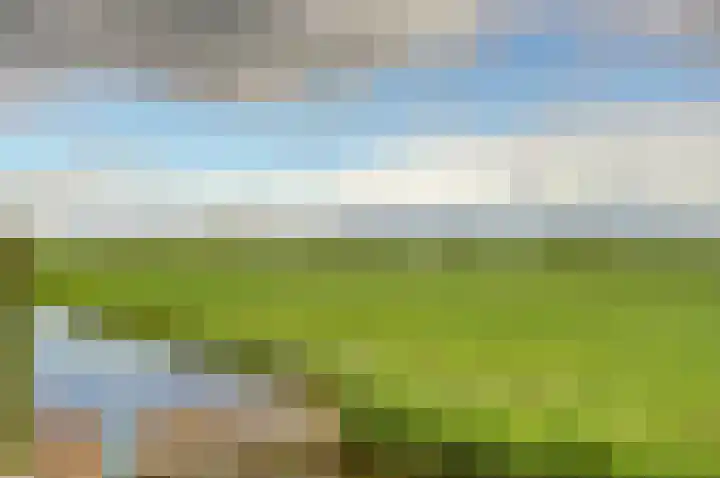 Kanaaldijk 14 Leerbroek thumbnail 44