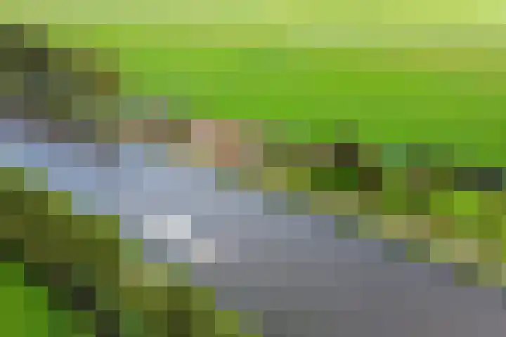 Kanaaldijk 14 Leerbroek thumbnail 61