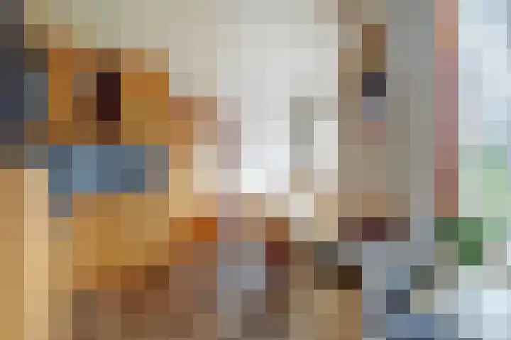 Kanaaldijk 14 Leerbroek thumbnail 8