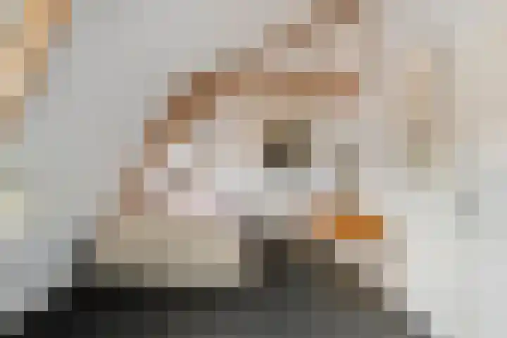 Kanaaldijk 162 Koedijk thumbnail 21