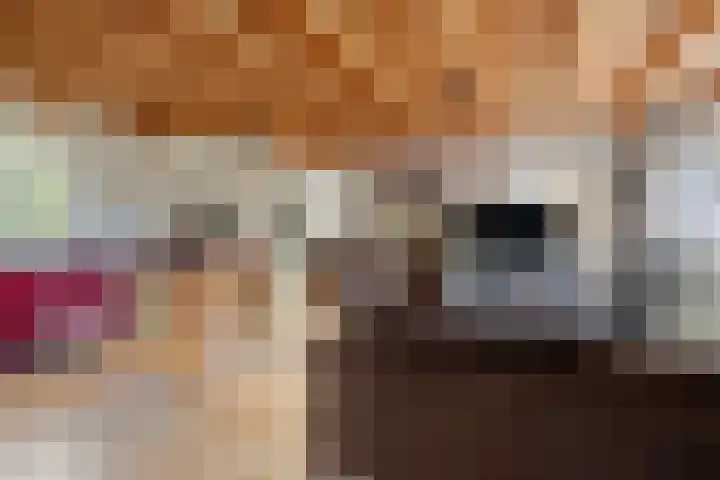 Kanaaldijk 162 Koedijk thumbnail 33