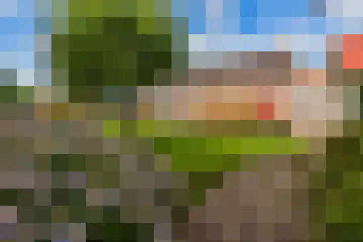 Kanaaldijk 162 Koedijk thumbnail 38