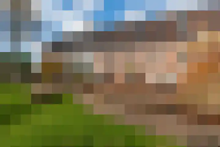 Kanaaldijk 162 Koedijk thumbnail 43