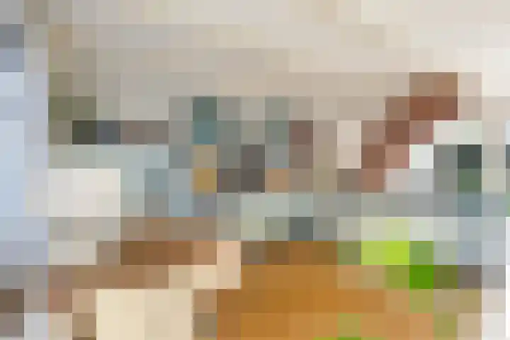 Kanaaldijk 162 Koedijk thumbnail 8