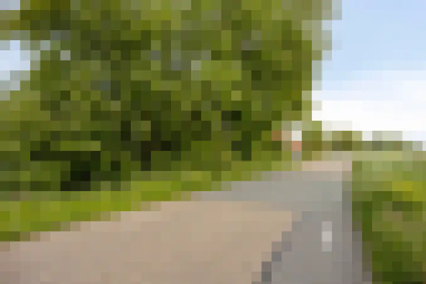 Kanaaldijk 17 West-Graftdijk thumbnail 6