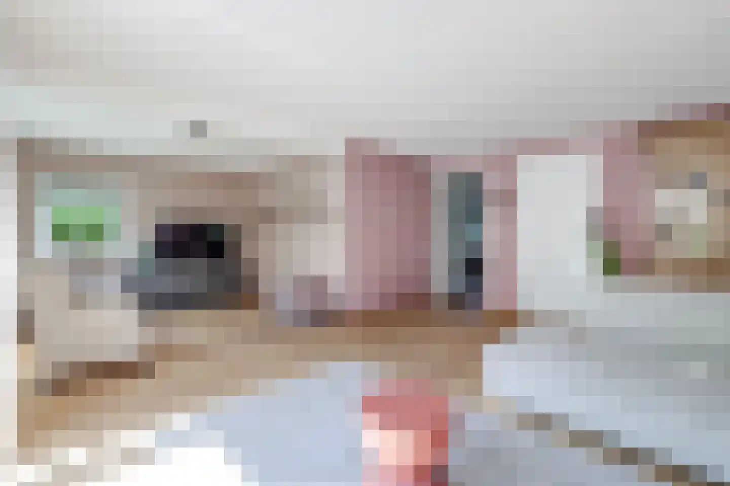 Kanaaldijk 219 Koedijk thumbnail 20