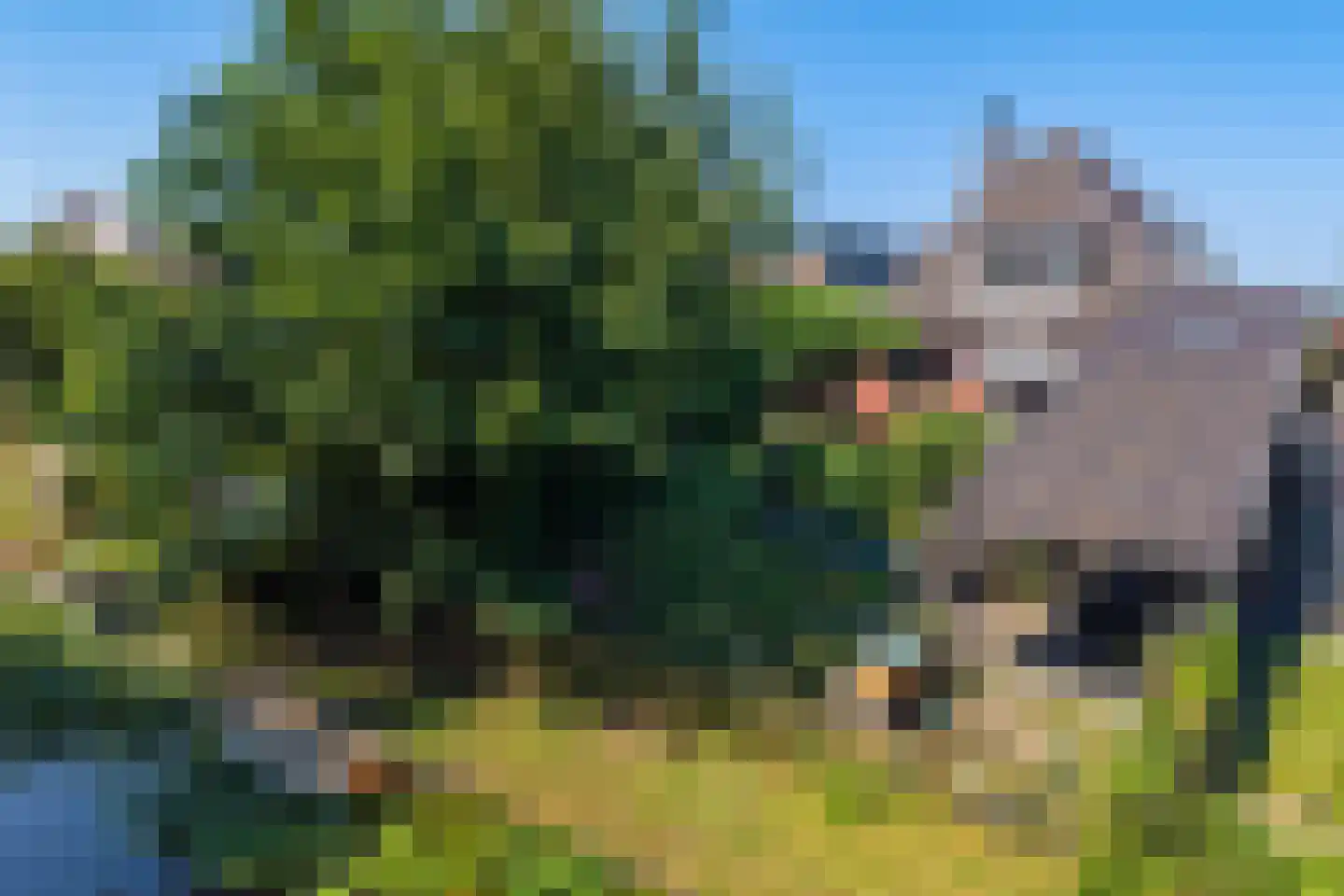 Kanaaldijk 219 Koedijk thumbnail 4
