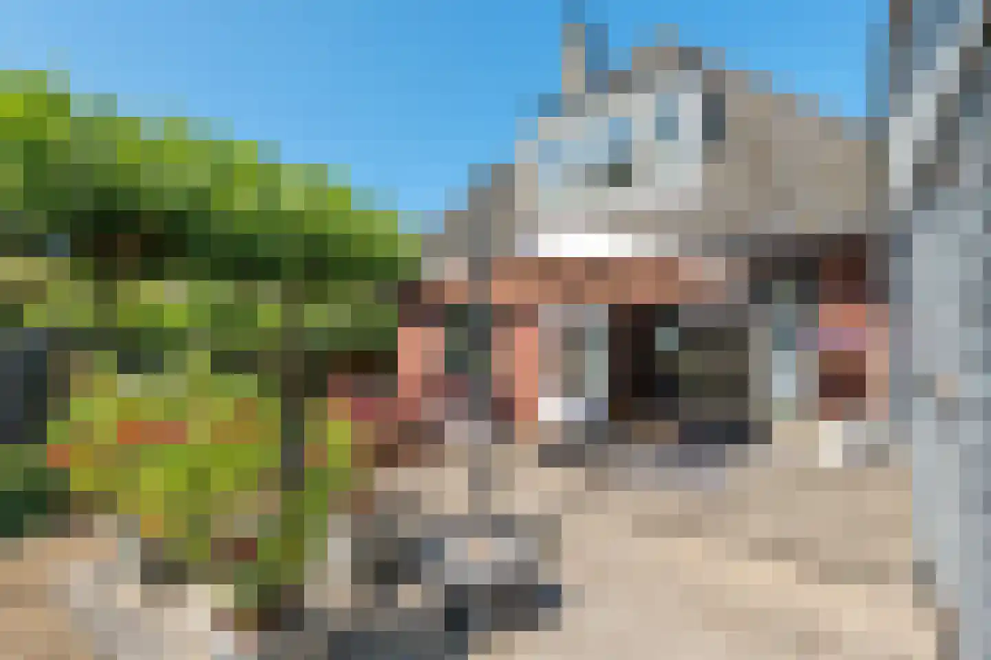 Kanaaldijk 219 Koedijk thumbnail 41