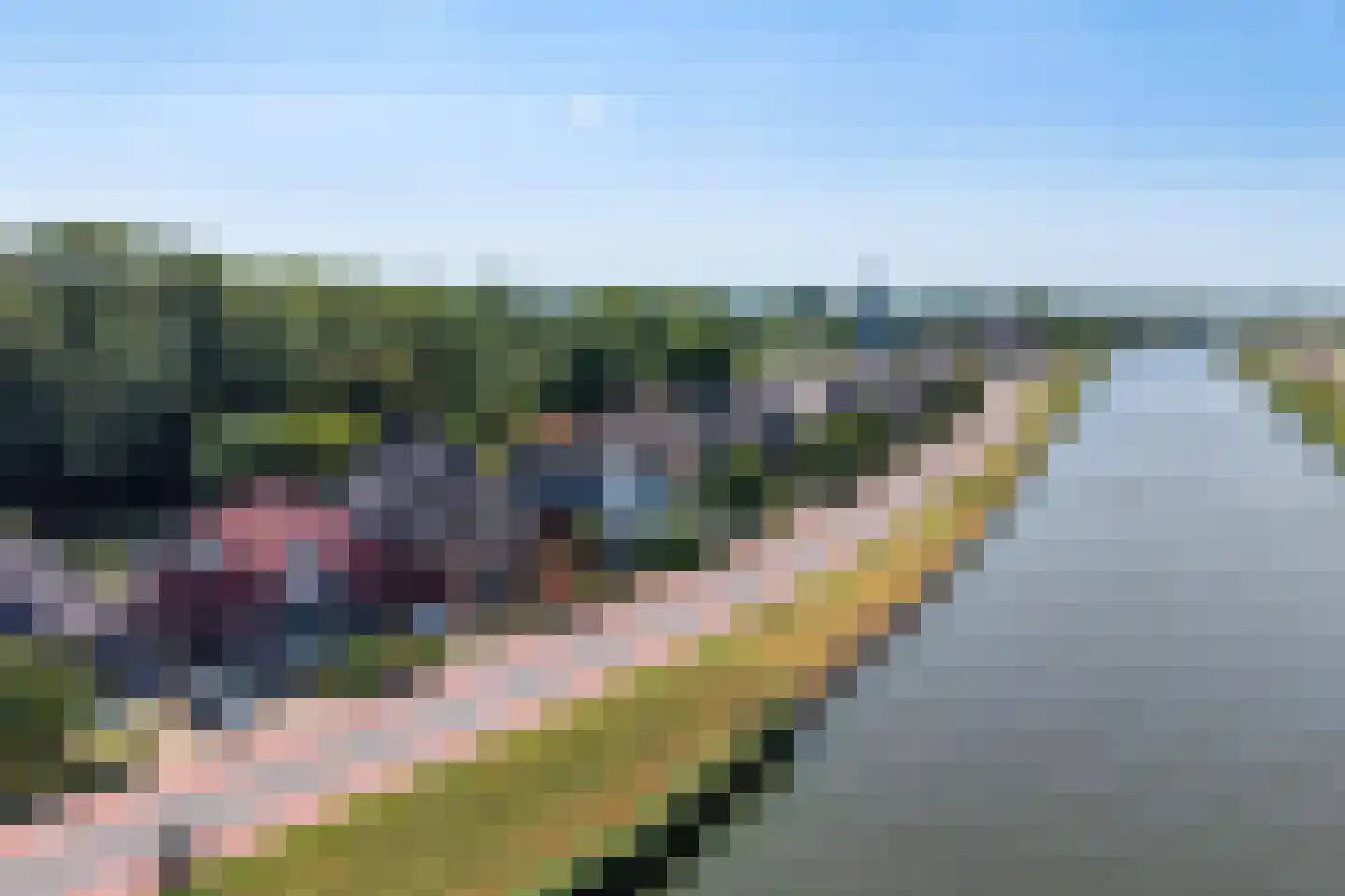 Kanaaldijk 219 Koedijk thumbnail 55