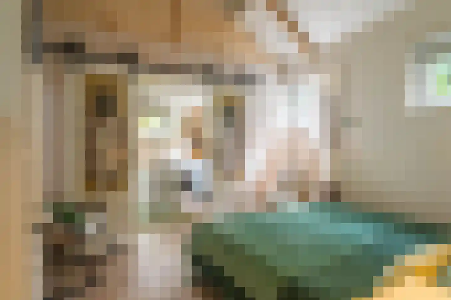 Kanaaldijk 232 IJmuiden thumbnail 25