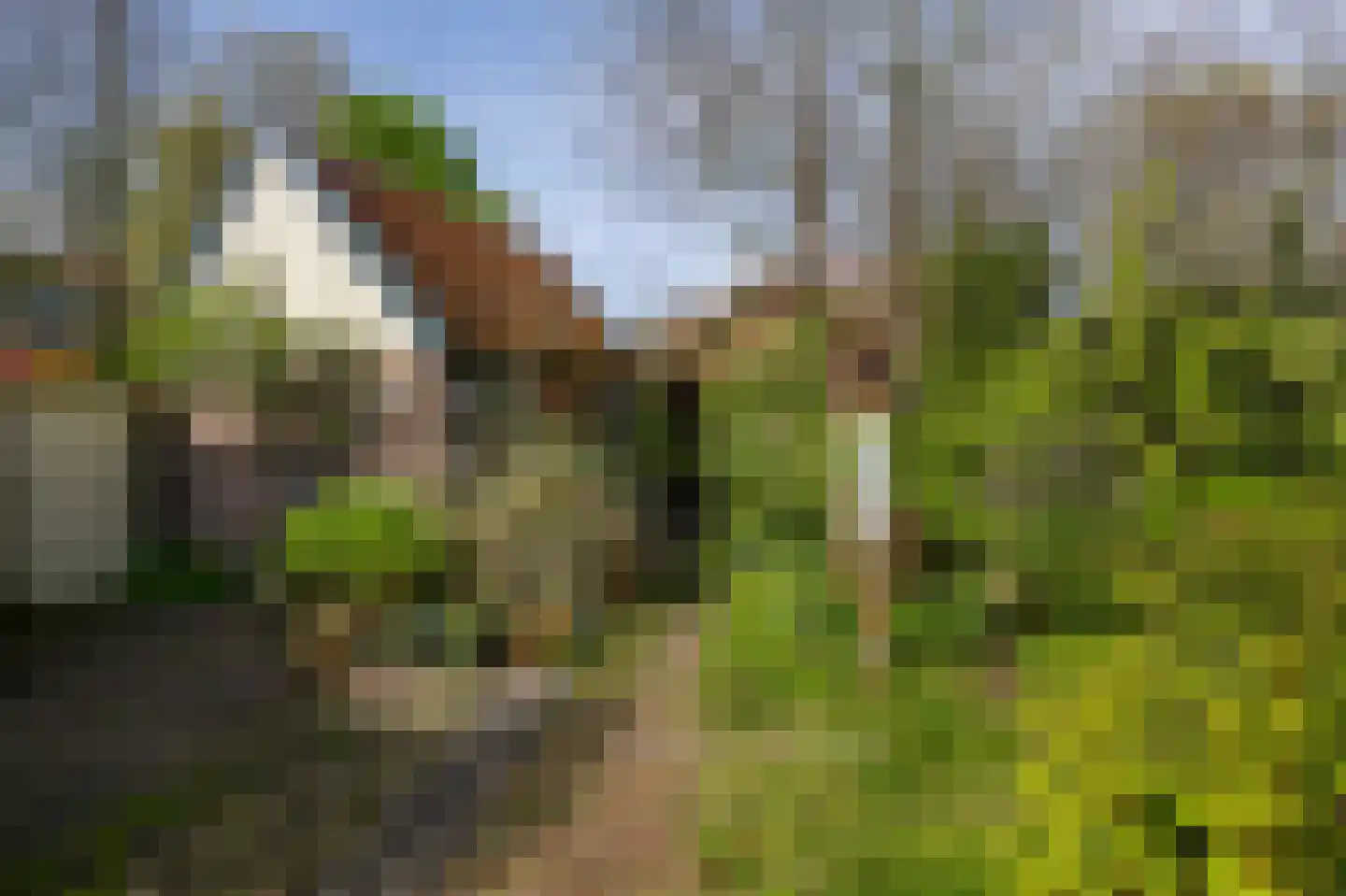 Kanaaldijk 232 IJmuiden thumbnail 29