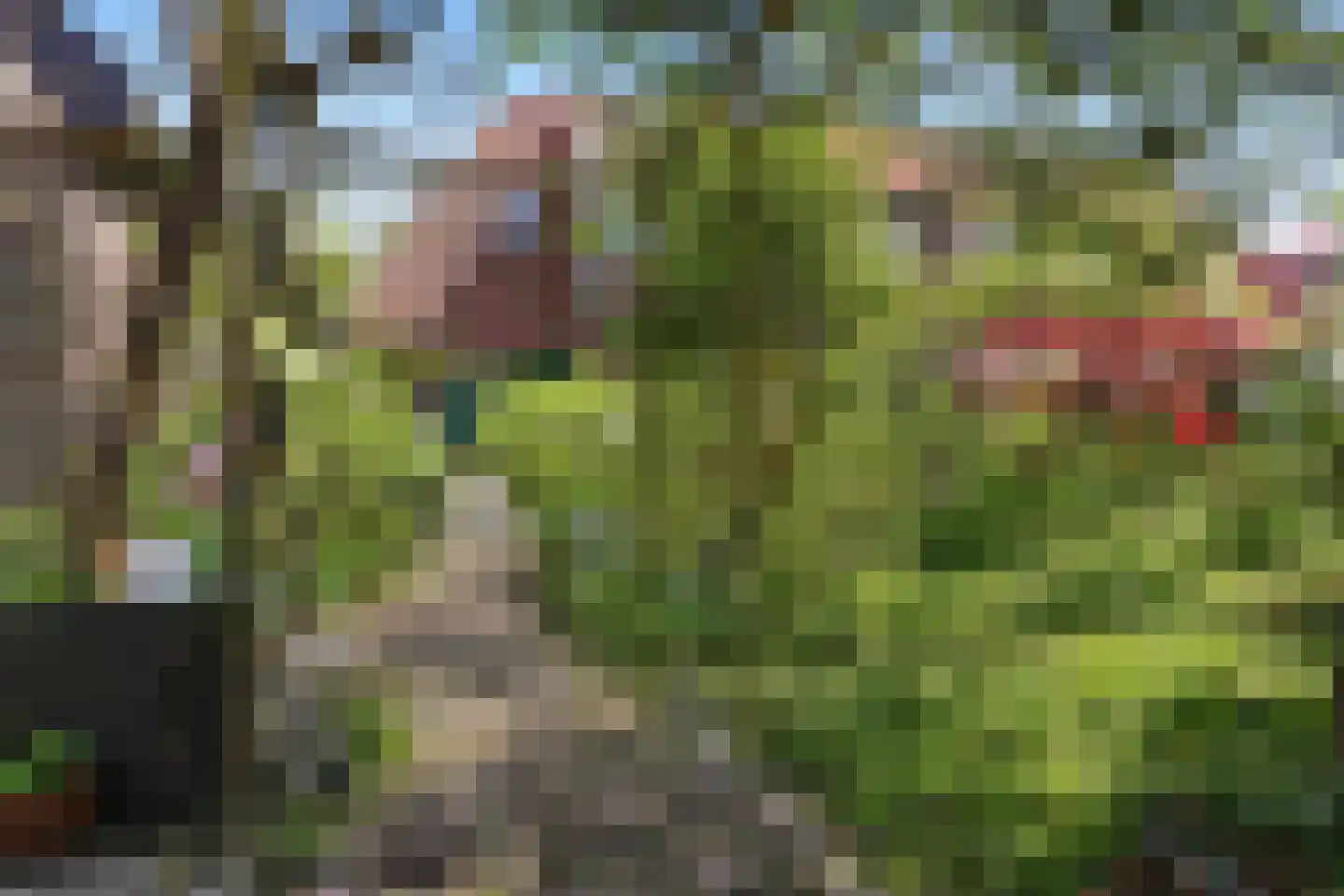 Kanaaldijk 232 IJmuiden thumbnail 32