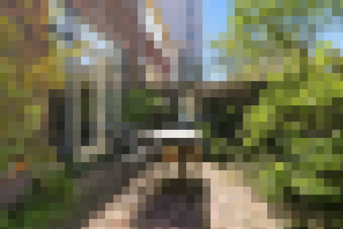 Kanaaldijk 232 IJmuiden thumbnail 35