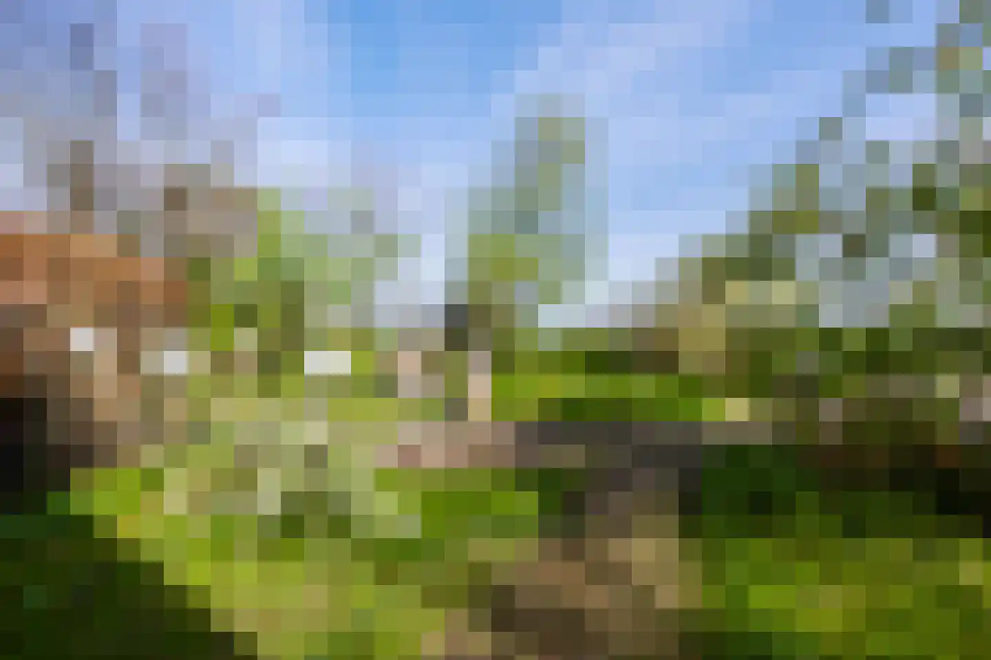 Kanaaldijk 232 IJmuiden thumbnail 38
