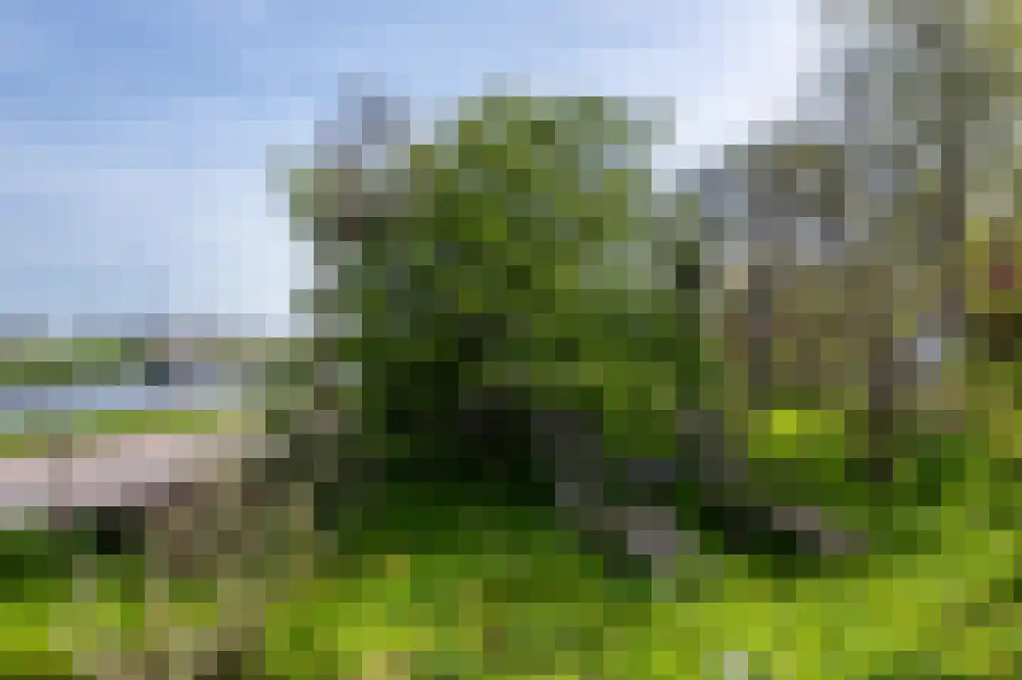 Kanaaldijk 232 IJmuiden thumbnail 42