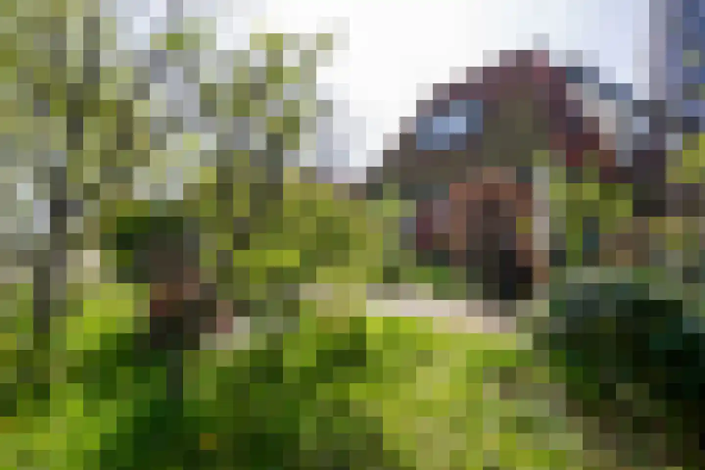 Kanaaldijk 232 IJmuiden thumbnail 44