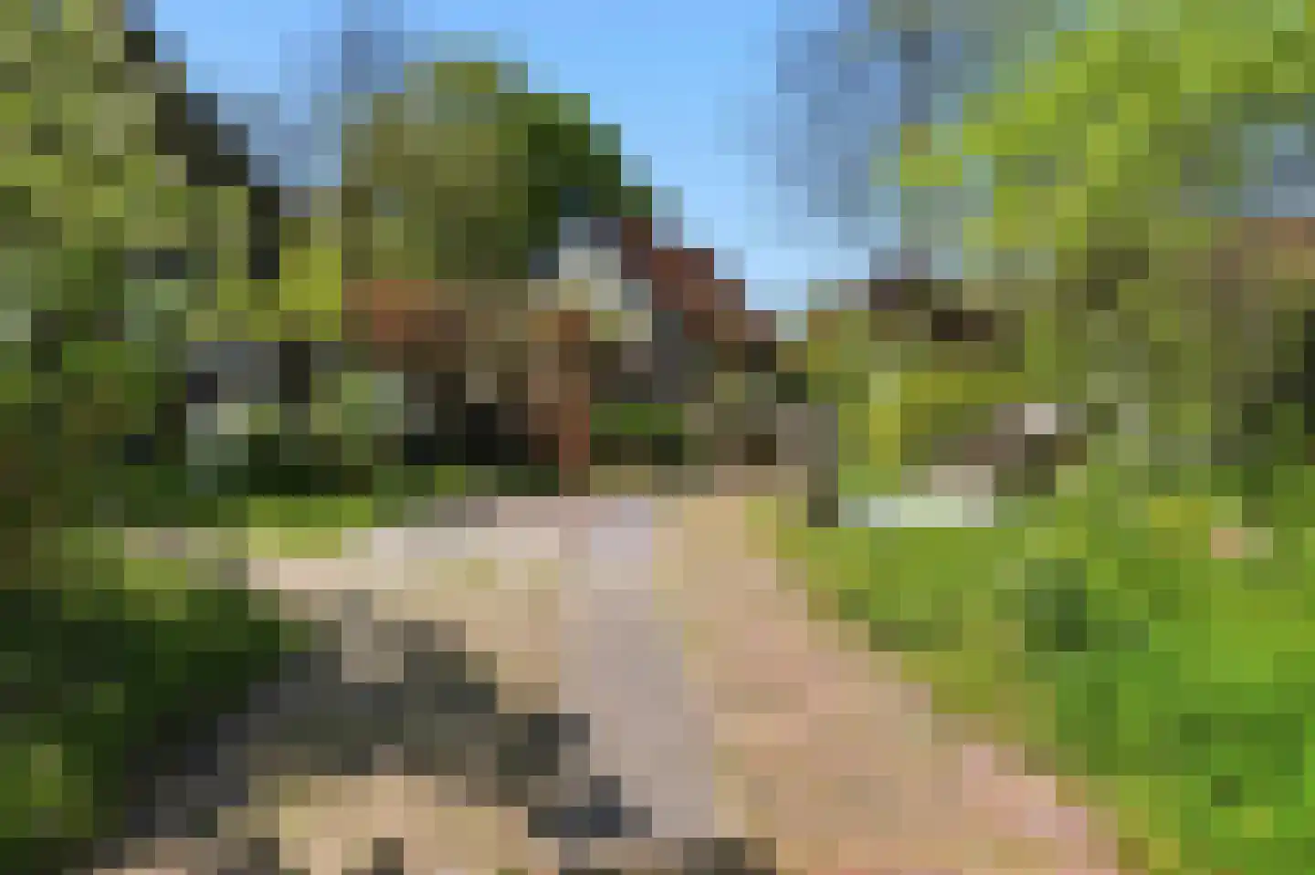 Kanaaldijk 232 IJmuiden thumbnail 45