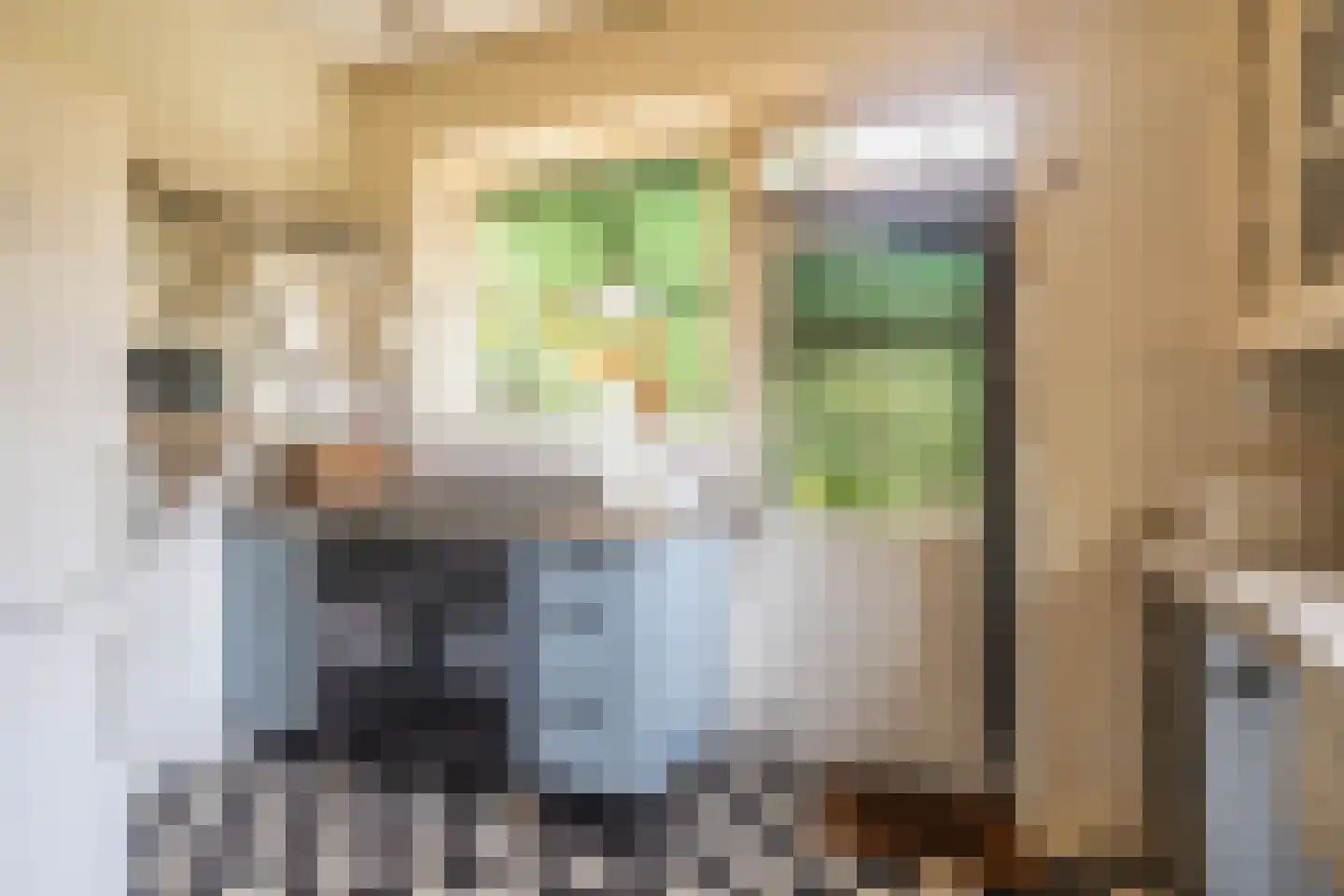 Kanaaldijk 232 IJmuiden thumbnail 9