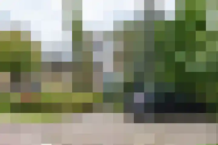 Kanaaldijk 24 De Punt
