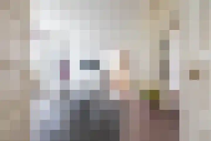 Kanaaldijk 24 De Punt thumbnail 11