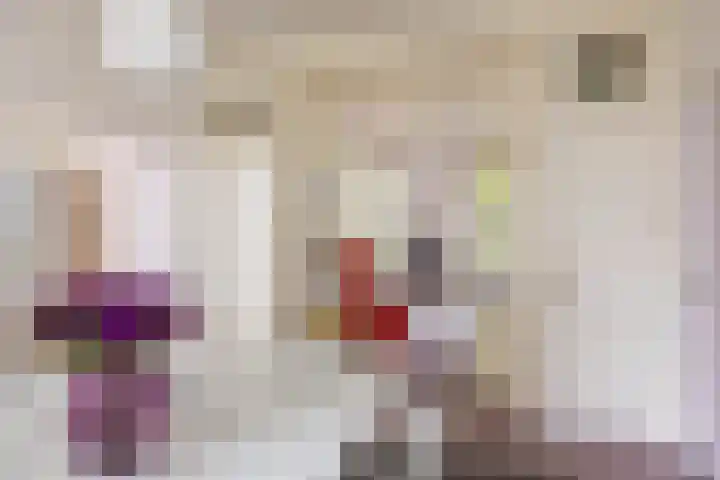 Kanaaldijk 24 De Punt thumbnail 13