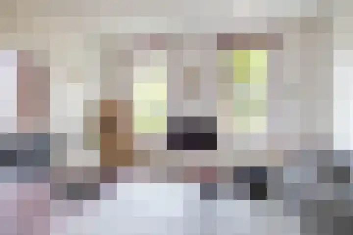 Kanaaldijk 24 De Punt thumbnail 17