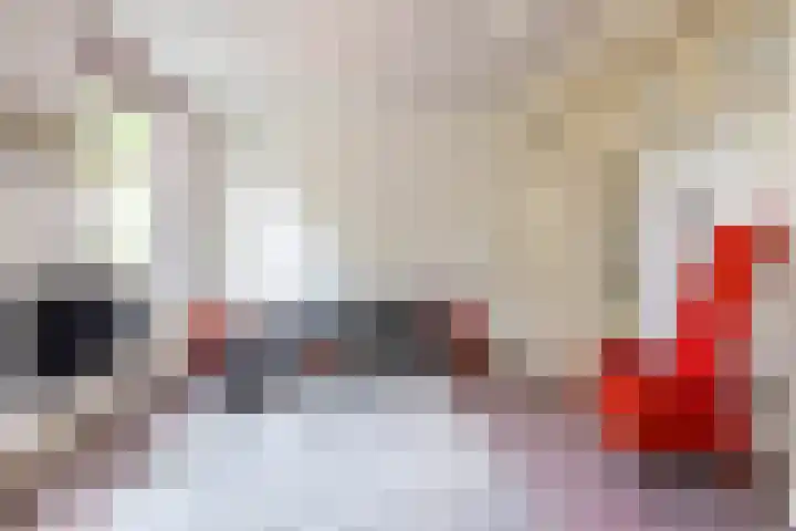 Kanaaldijk 24 De Punt thumbnail 21