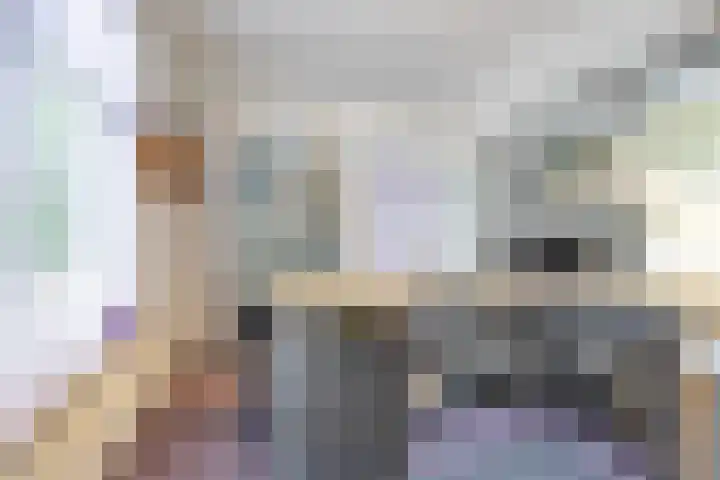 Kanaaldijk 24 De Punt thumbnail 28