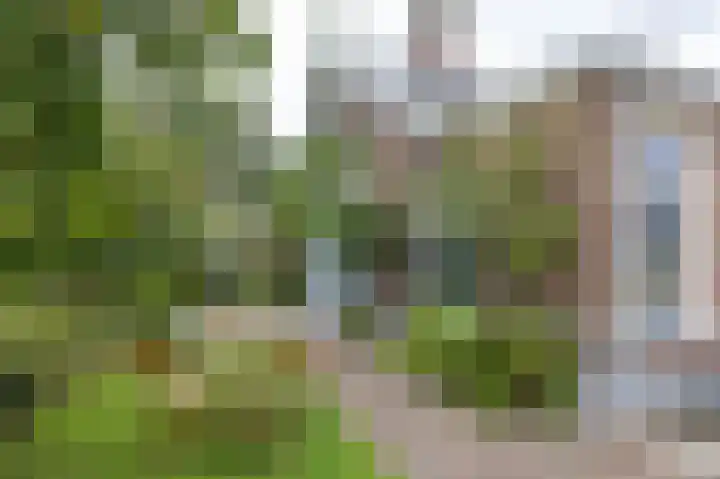 Kanaaldijk 24 De Punt thumbnail 34