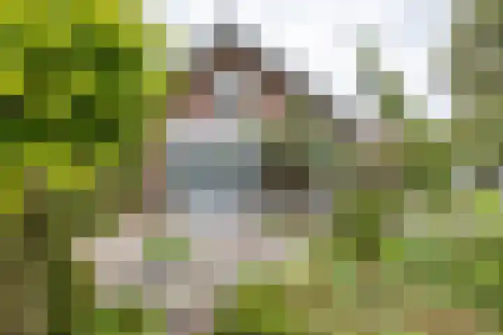 Kanaaldijk 24 De Punt thumbnail 35