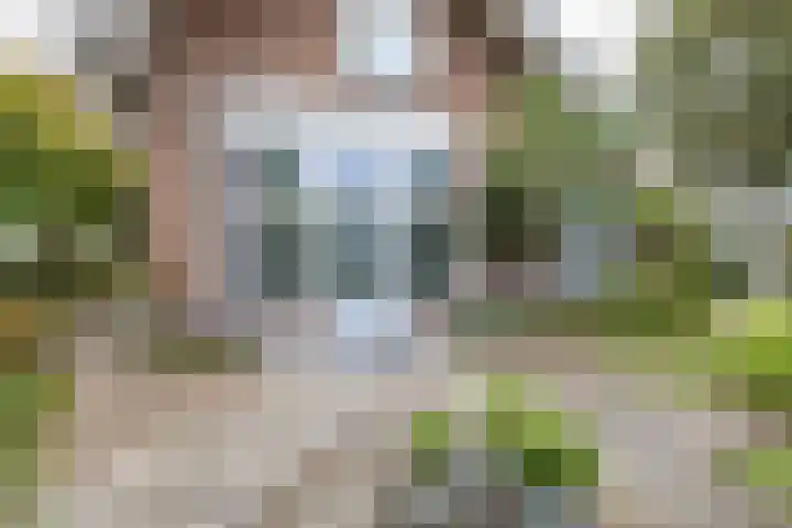 Kanaaldijk 24 De Punt thumbnail 36
