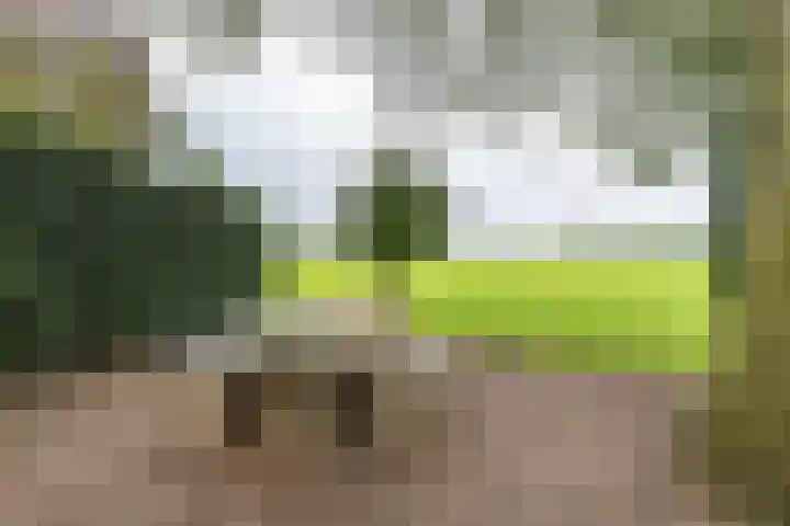 Kanaaldijk 24 De Punt thumbnail 38