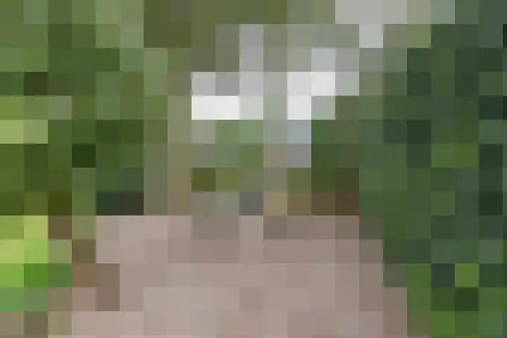 Kanaaldijk 24 De Punt thumbnail 39