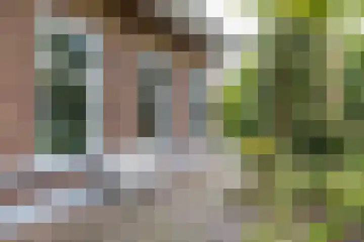 Kanaaldijk 24 De Punt thumbnail 4