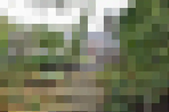 Kanaaldijk 24 De Punt thumbnail 40
