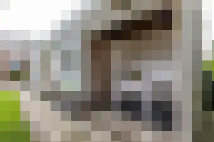 Kanaaldijk 24 De Punt thumbnail 41