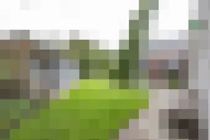 Kanaaldijk 24 De Punt thumbnail 42